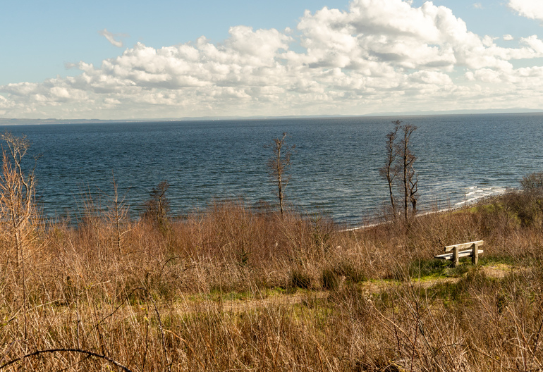 A bench in grass overlooking the sea