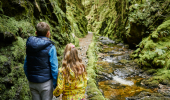 Two children on a very narrow path beside a stream in a steep sided wooded gorge.