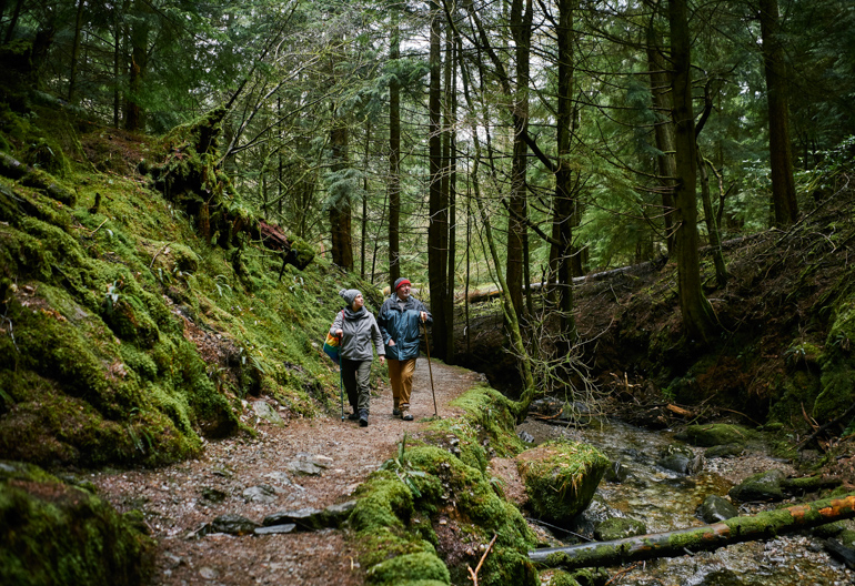 Two people walking on a forest path beside a small stream surrounded by trees and moss.