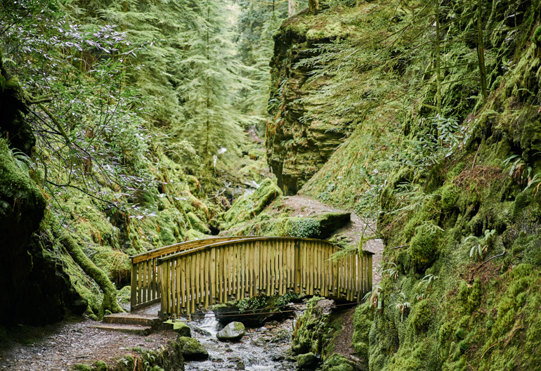 Arching wooden footbridge over a small stream in a steep sided gorge lined with trees and green moss.