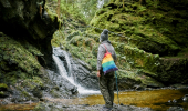  In a shady woodland glen, a female hiker, wearing grey jacket and hat, and carrying rainbow coloured bag, gazes at waterfall spilling over moss covered rocks into stream below, Puck's Glen, near Dunoon