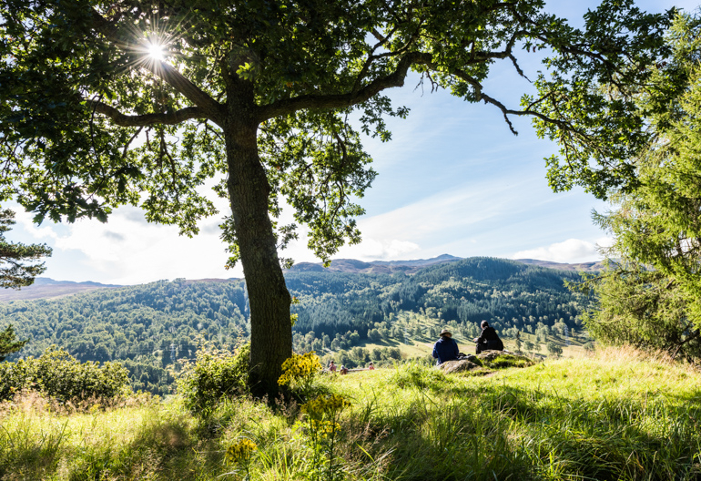 Two people sitting on long grass looking over a forested hillside in the sunshine.