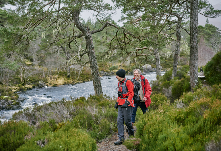 Two mature male hikers, wearing red jackets and carrying rucksacks,and one with binoculars, walk along path on banks of River Affric, amidst Scots pine trees and heather bushes, and woodland in the background, Glen Affric