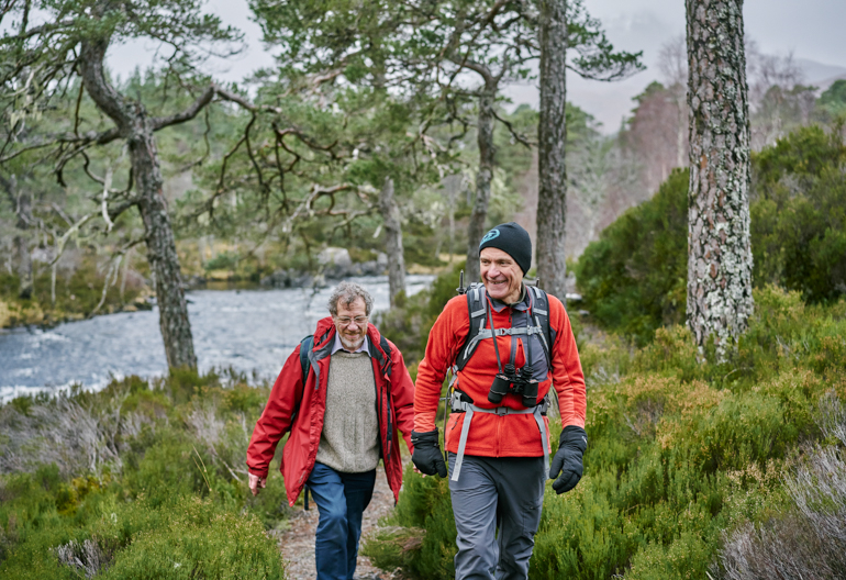 Two mature male hikers, wearing red jackets and carrying rucksacks,and one with binoculars, walk along path on banks of River Affric, amidst Scots pine trees and heather bushes, and woodland in the background, Glen Affric