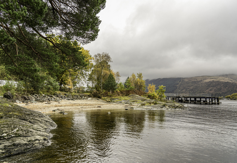 a rocky beach with a boardwalk and autumn trees