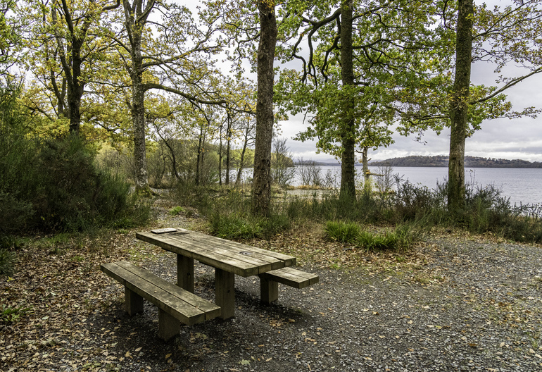 A picnic table in autumn next to a loch