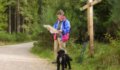 A man with a black dog looks at a map at a woodland path junction