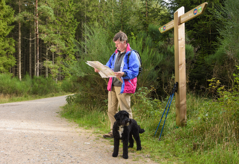A man with a black dog looks at a map at a woodland path junction