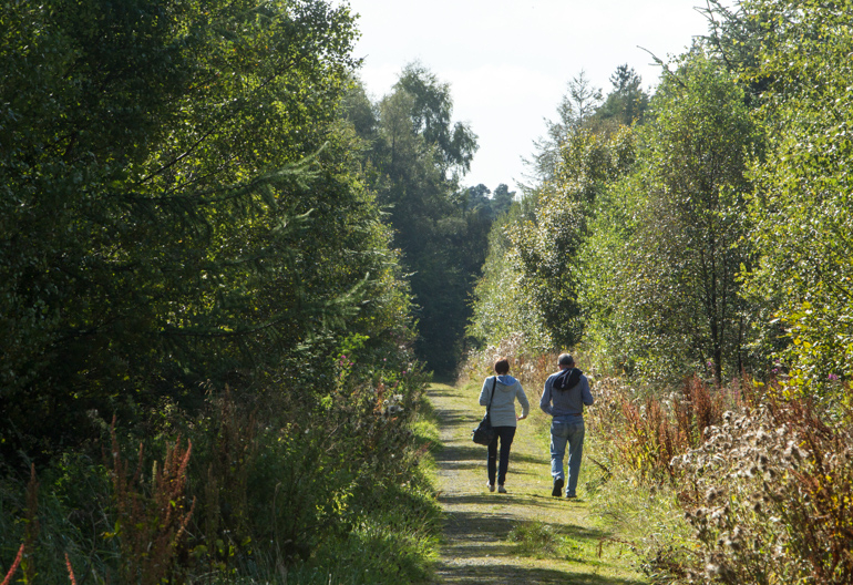 Two men walk along a path between thick broadleaf woodland
