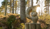 A wooden carved squirrel in a pine forest