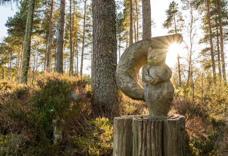 A wooden carved squirrel in a pine forest