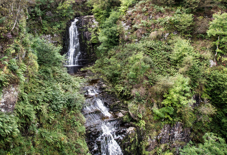 A tall waterfall runs down the side of a steep hillside covered in trees and ferns