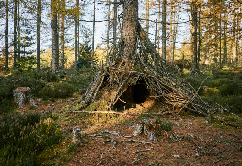 Den made in hollow of tree with branches and sticks, Tain Hill