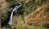 A waterfall nestled in a gorge with orange bracken and autumn trees
