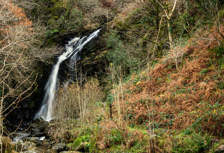 A waterfall nestled in a gorge with orange bracken and autumn trees