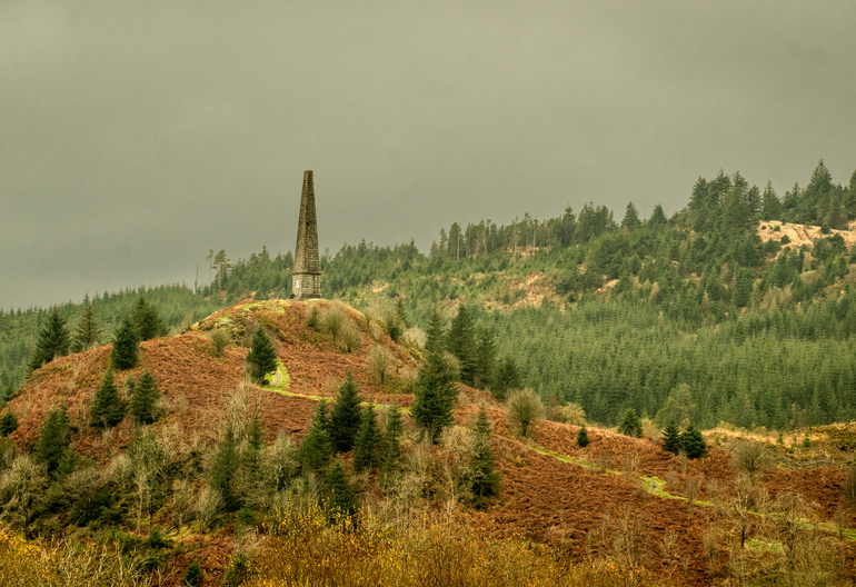A stone monument on a hill with orange bracken and trees 