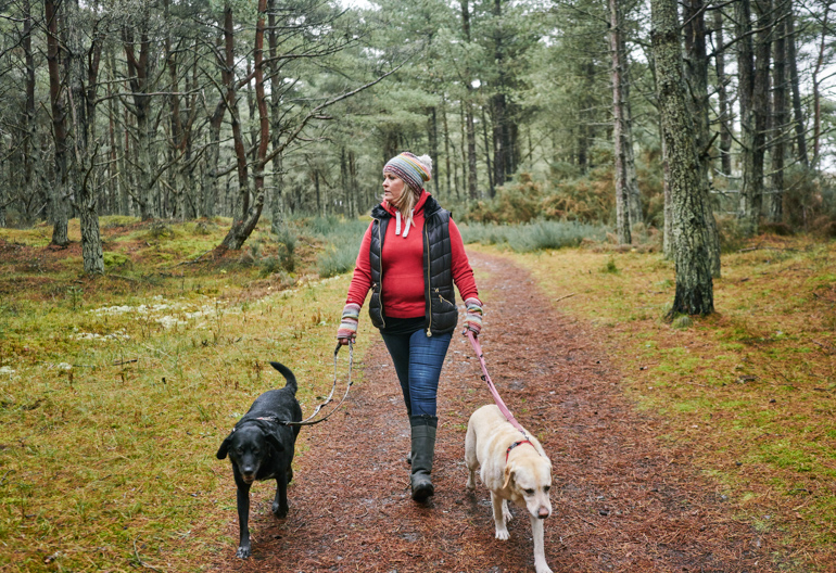 A woman walking one black dog and one blonde dog through woodland at Tentsmuir Forest, Fife