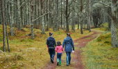 A family with a young girl walk along a winding woodland path between ancient conifer trees
