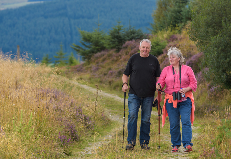 Mature man and woman walking on woodland path with heather and native grasses, The Bin Forest, near Huntly, Aberdeenshire