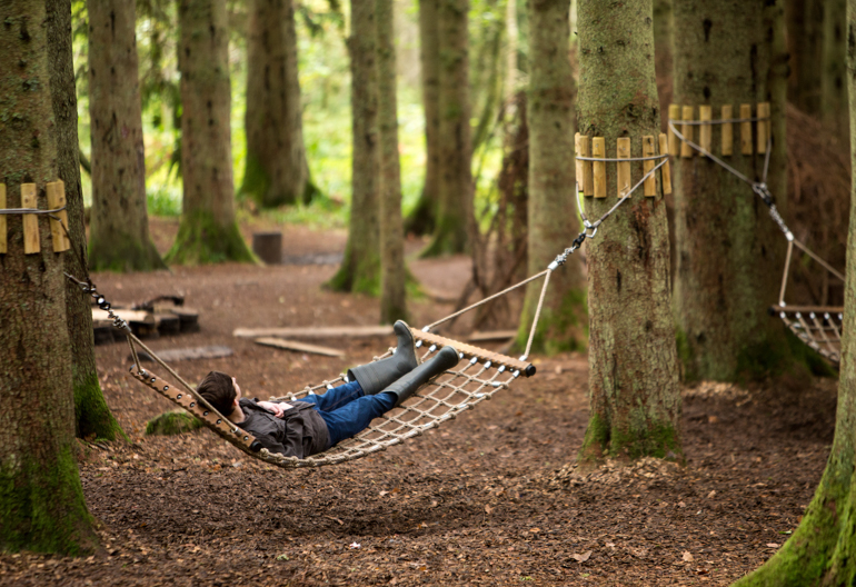 A boy lies in a hammock strung between two trees in a forest