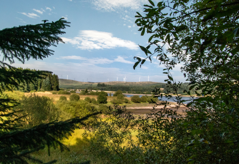 A view of the river through trees with wind turbines in the background 
