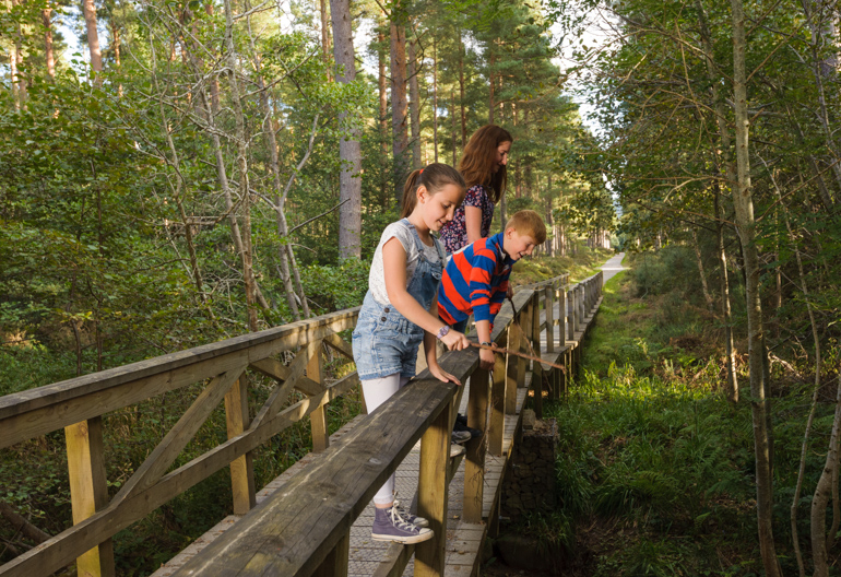 Group of young girls and boys lean over wooden bridge at Black Burn playing Pooh sticks, Torrieston, near Elgin, Moray