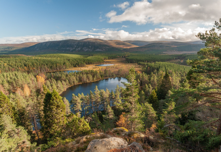 Rocky ridge with three small lochs, a mountain rage, and a conifer forest in the view below
