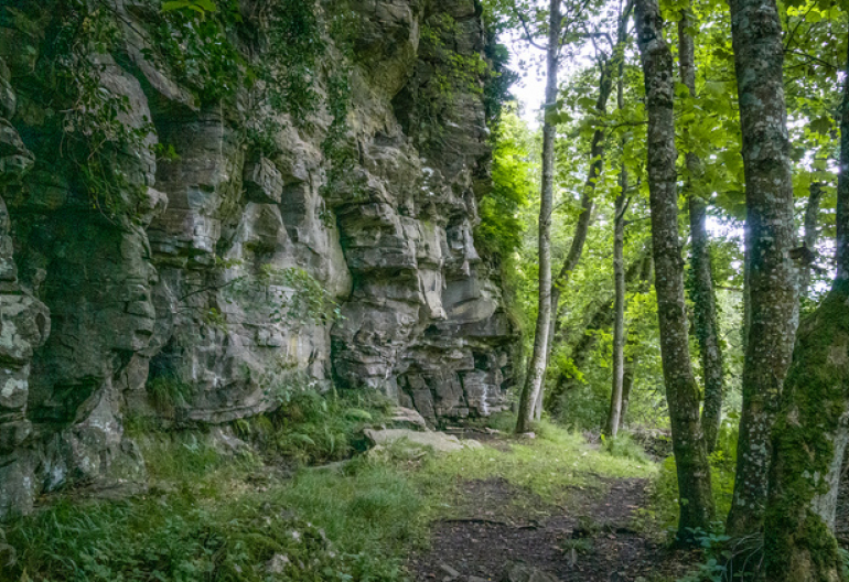 A walking path through a mixed woodland with rock faces next to the path