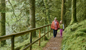 Woman and girl walk along a narrow forest path with fence at one side and green moss and trees all around.