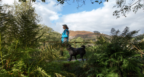 Woman in blue walks dog along woodland path with ferns, Aberfoyle