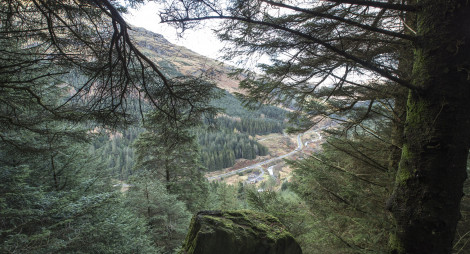 Aerial view of motorway from high up in forest, Ardgartan, Argyll Forest Park