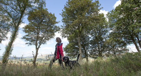A woman walking her dog through a meadow with trees in the background