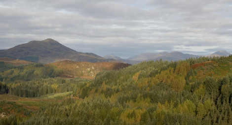 Looking towards Ben Venue over Achray forest