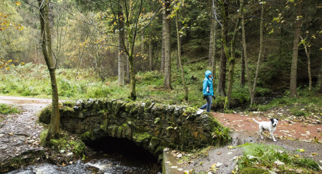 A woman with her hood up walks her dog over a stone bridge