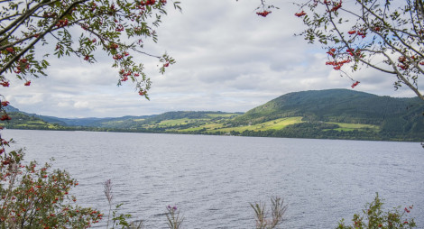 View over Loch Ness and hills beyond from Change House, with broadleaf trees with red berries in the foreground 