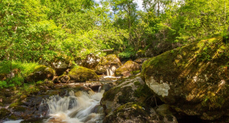 White water breaks on rocks in a fast flowing river surrounding by lush green trees and boulders at Farigaig