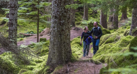 Man and woman walk through tree lined woodland path, Farigaig forest, near Inverfarigaig