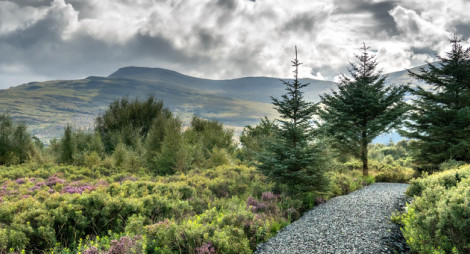 A gravel path with heather and mountains behind 