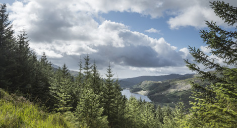 Aerial view of a loch through a pine woodland with hills in the background.
