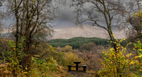 A picnic table on the hillside overlooking an autumn canopy 