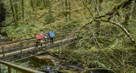 Family stand on wooden bridge spanning gorge overlooking a stream with wild trees and thick green undergrowth all around.