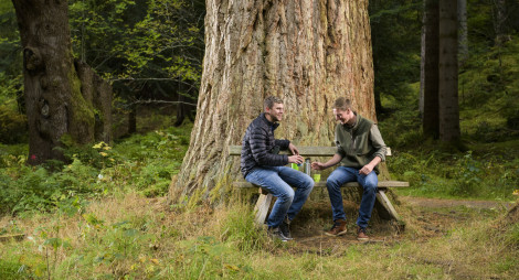 Two men sitting on a bench in front of a mature tree, Lael Forest Garden, Ullapoo