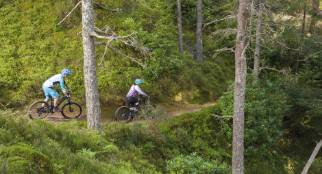 Cycling on Blue Trails, Monster Trails, Aberdeenshire and Moray Forest District, Forestry Commission Scotland