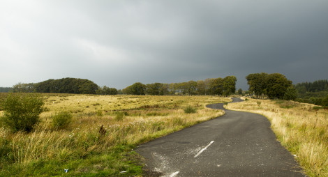 A paved pathway winding through a golden meadow with storm clouds