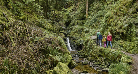 Family of four walking up narrow path besides small stream in a steep sided gorge covered in green trees, bushes, moss and lichen.