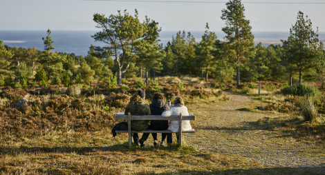 Man, woman and teenage girl sit at picnic table beside Pulpit Rock, Tain Hill