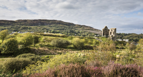 A ruin of a castle stands amongst rough grassland with trees and heather