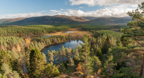 Aerial view of lochs, trees and hillsides