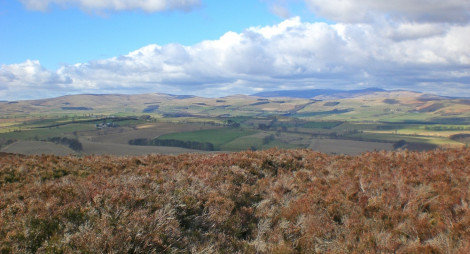 Brown heather on hilltop looking out to wide rolling green hills under a blue and cloudy sky 