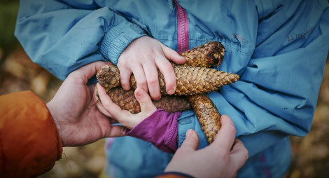 Child holding pinecones